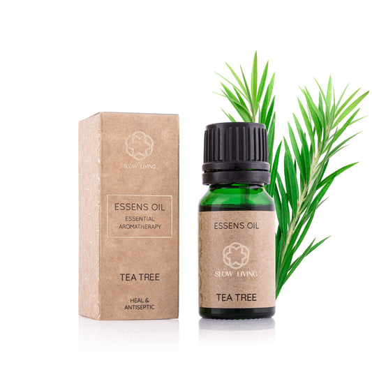 Essential Oil – Tea Tree